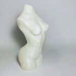 brcprint prismar bust